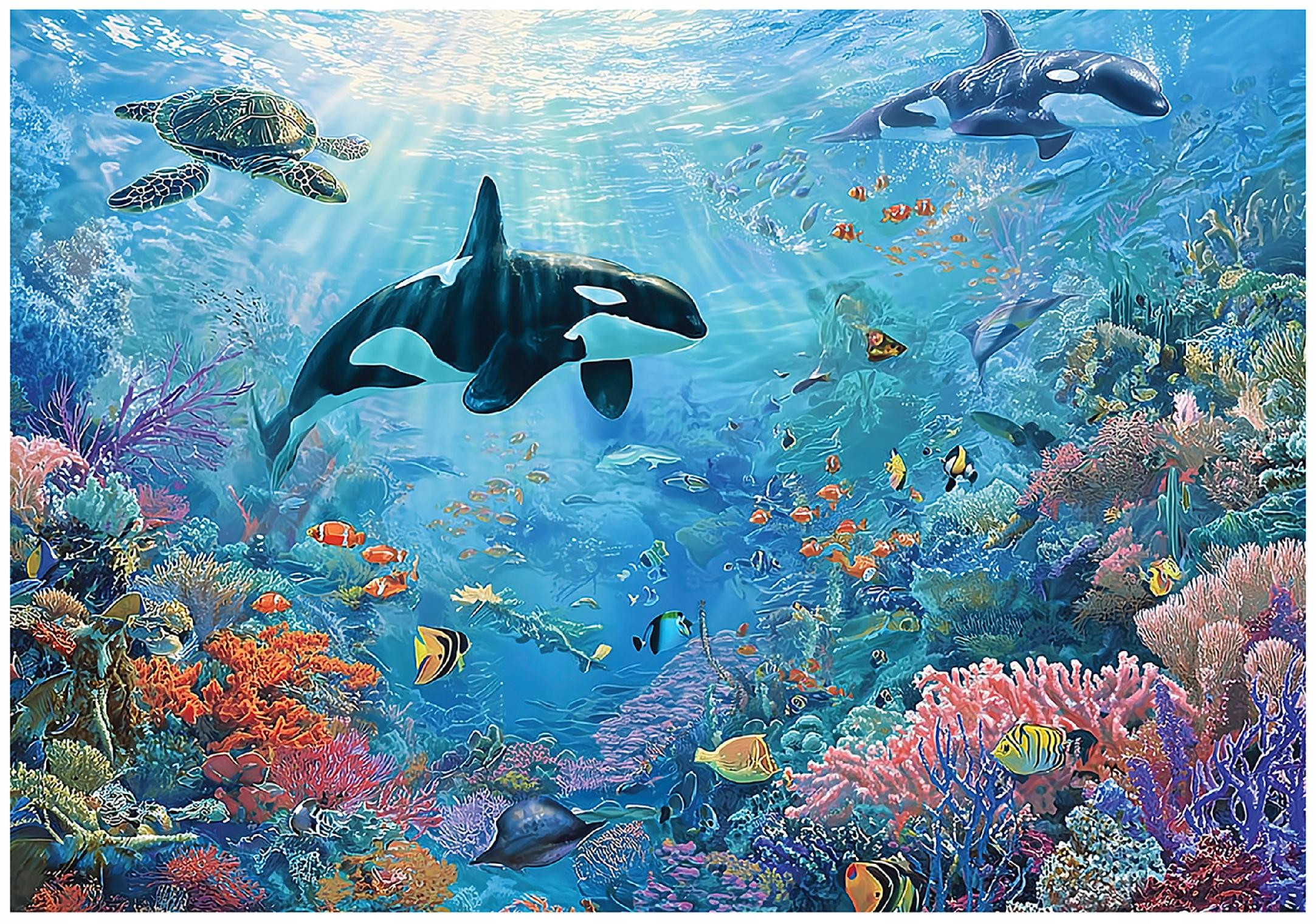 Fototapeta Ocean Niebieski Na Flizelinie Dla Dzieci 250x175