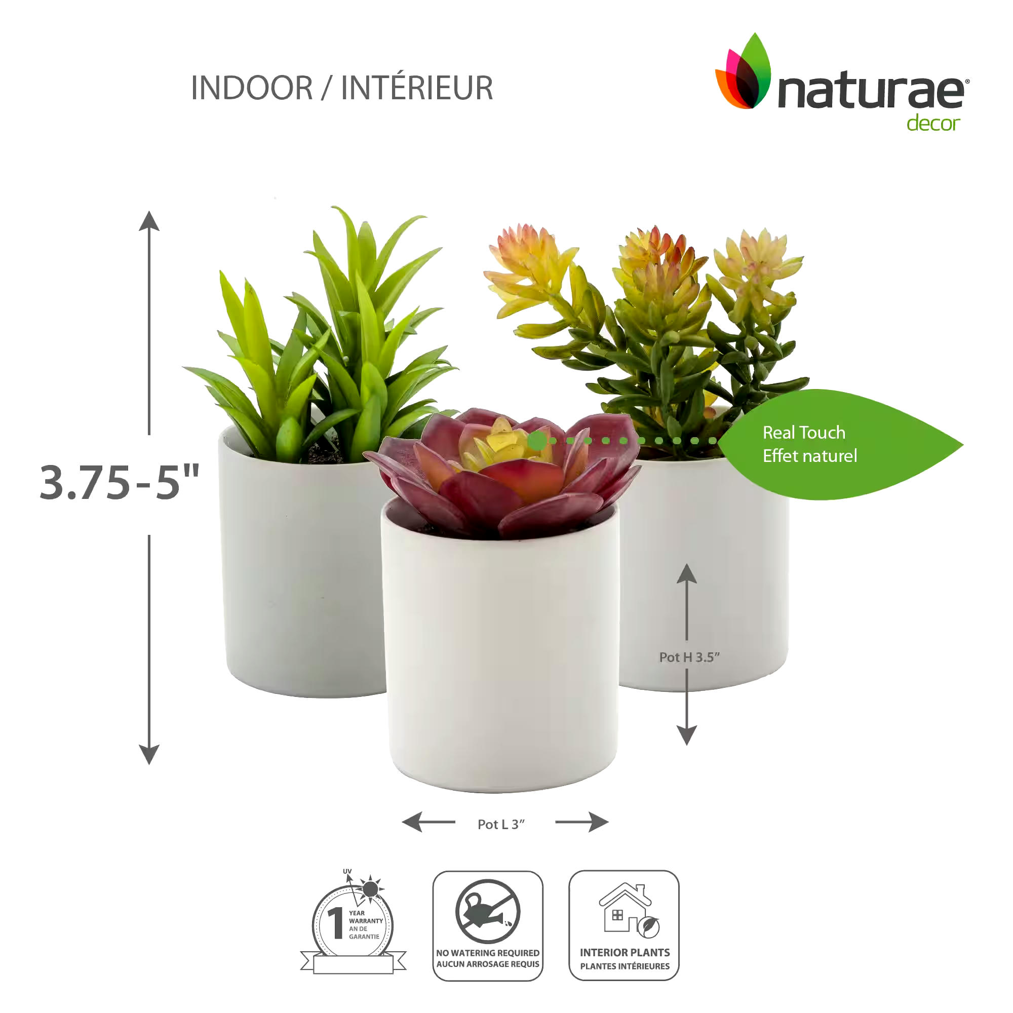 Naturae Décor Artificial Indoor Succulent in Ceramic Pot, Assorted, 4-in
