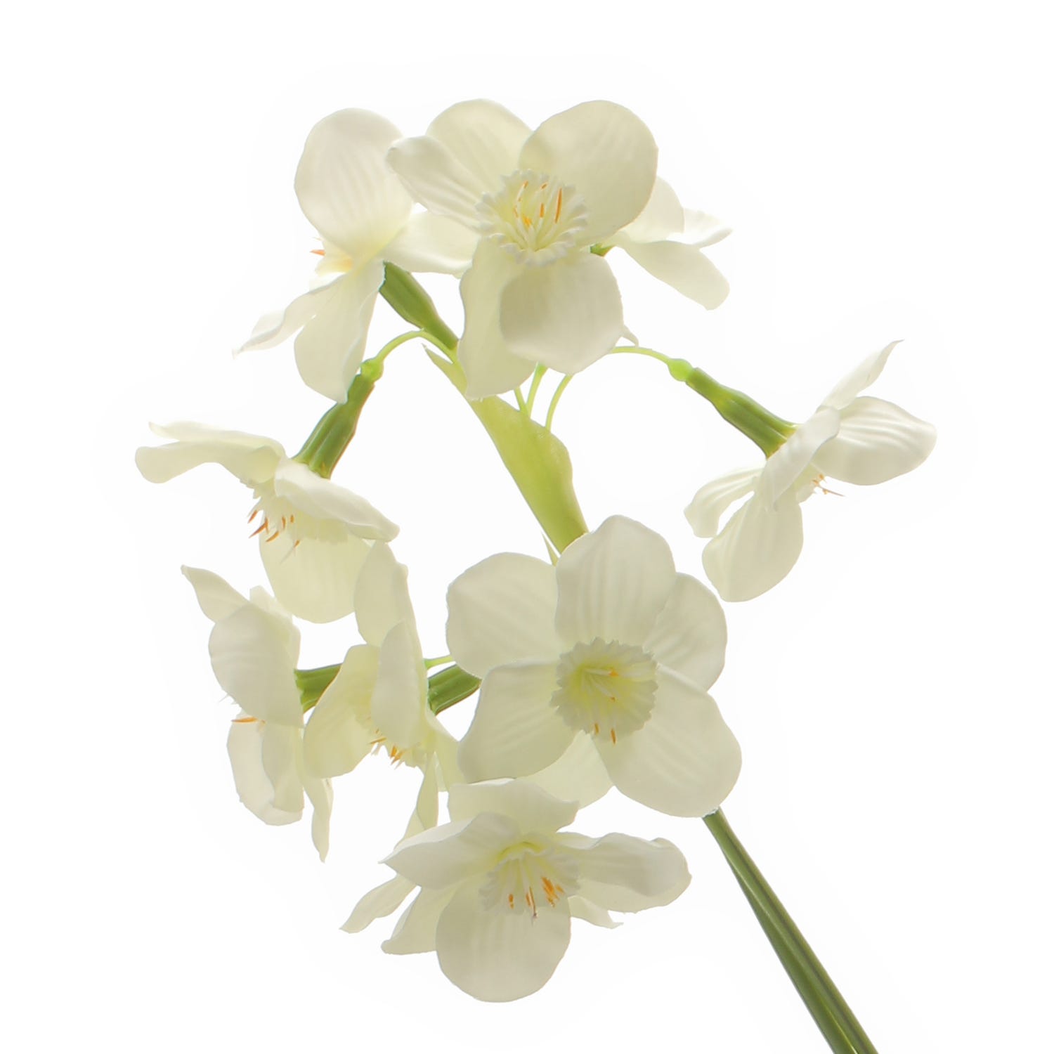 Narciso Chic, fiore sintetico, da 62 cm