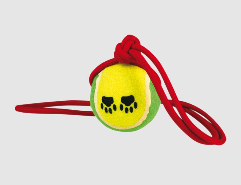 Tennisball am Band