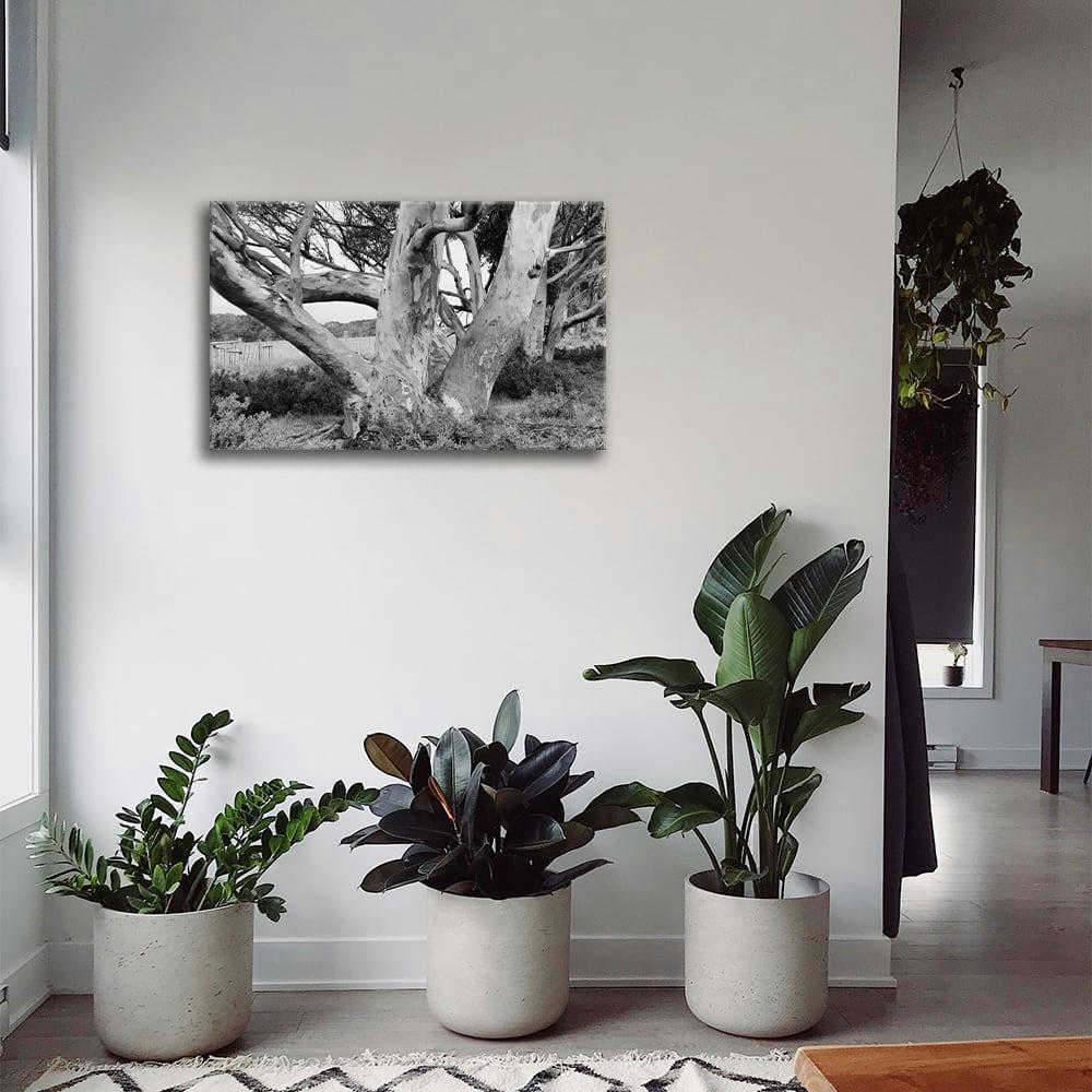 - Tableau impression sur toile au parc 60x90cm