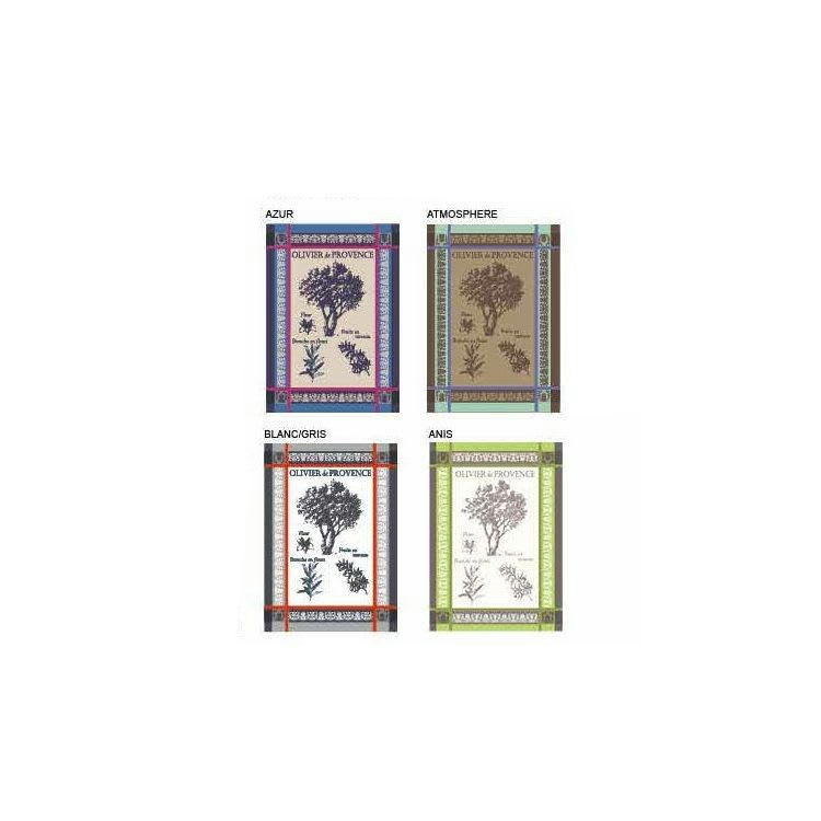 OLIVIER - Torchons en coton bleu 50x70