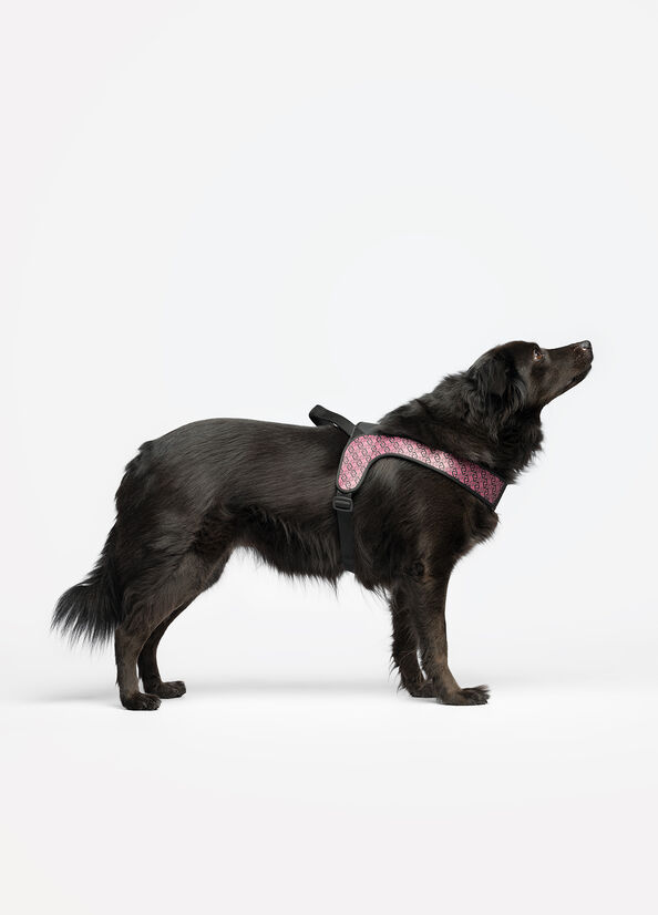 Pettorina taglia grande Liu Jo Pets