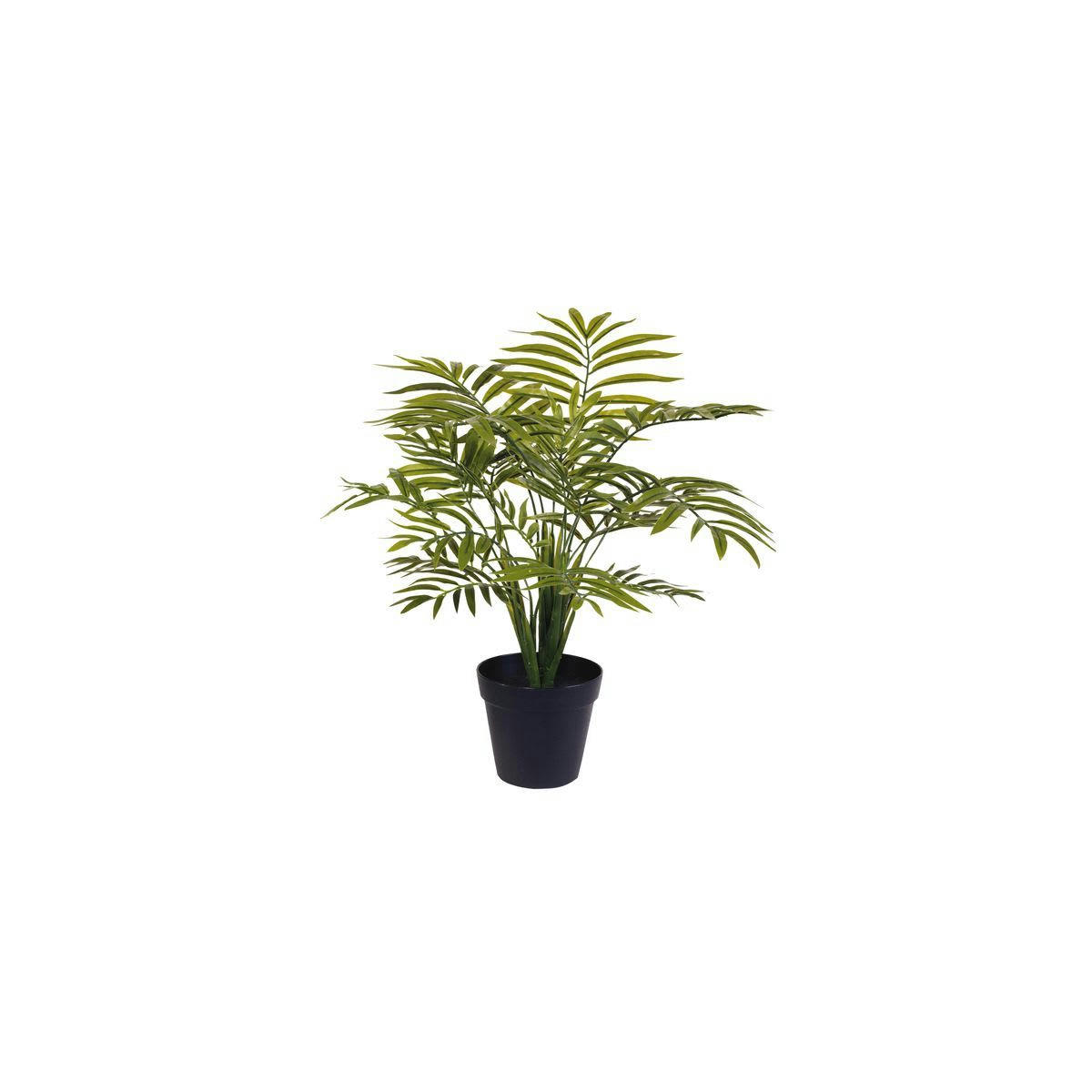 ESPRIT VEGETAL - Plante artificielle h46cm