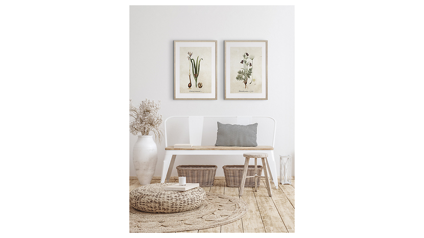 Obraz w ramie Botanical Plant No. 1 43x53 cm