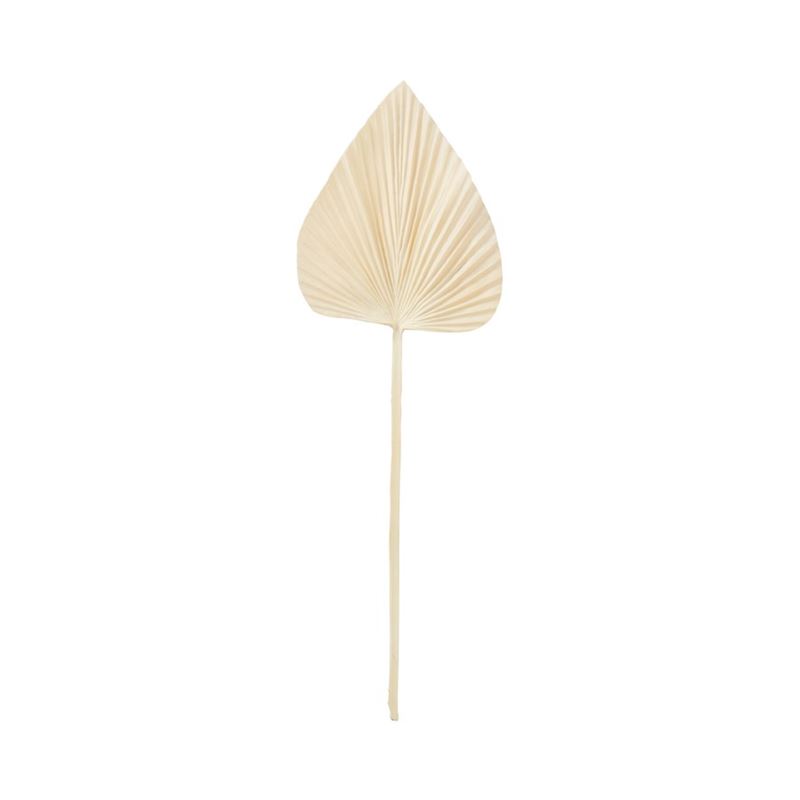 Winter White Fan Stem