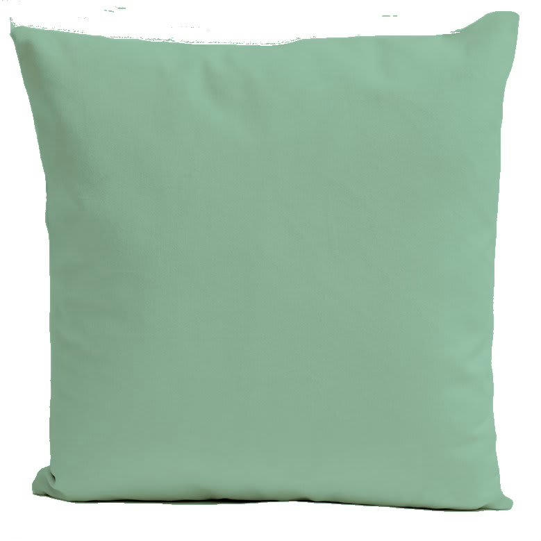 - Coussin uni velours vert pâle  40x40cm