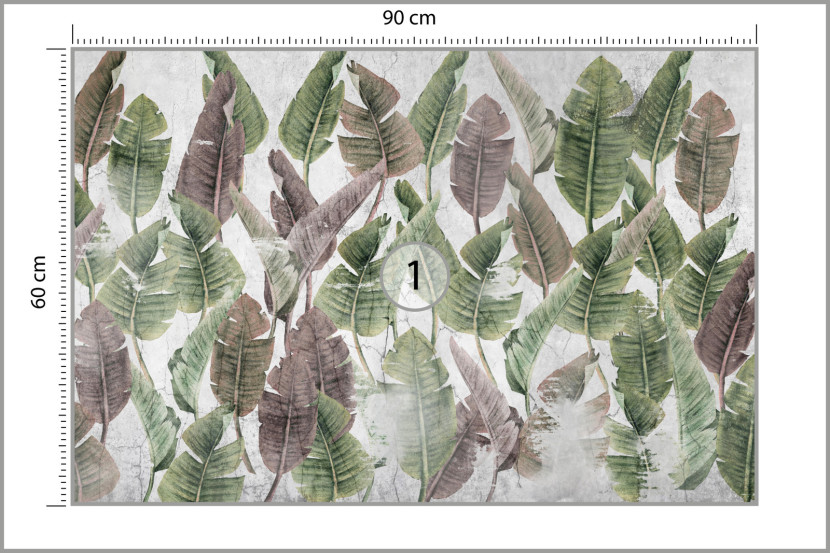 Fototapeta Liście palmowe na betonie 90x60cm