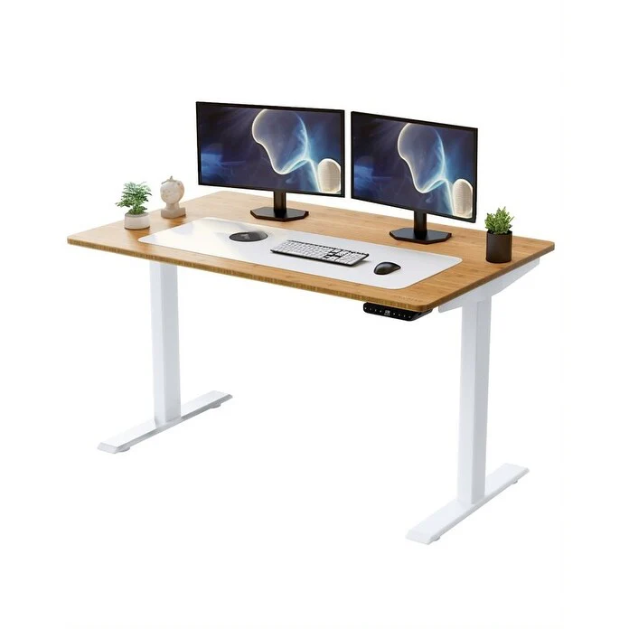 Rise Up Electric Standing Desk Dual Motor 48x30 solid bamboo desktop