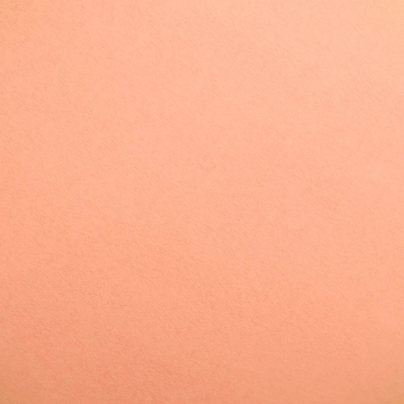 Glattblech, naturblank, LxBxH: 50x20x0,05 cm
