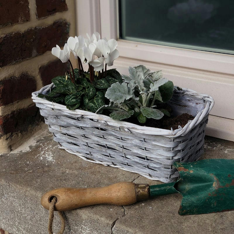 - Jardinière en osier 37 cm