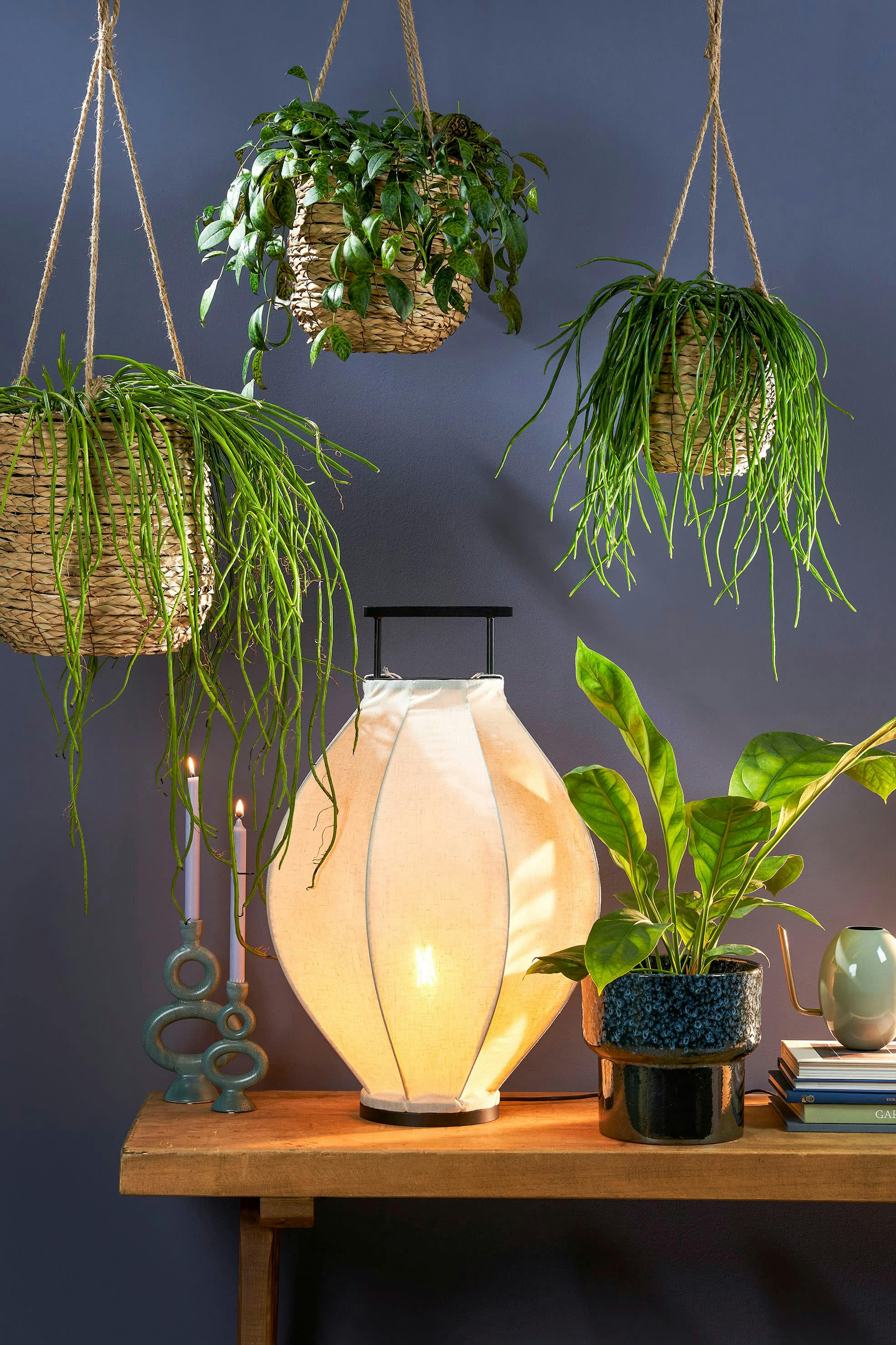 AVALON - 3 cache-pots suspendu en jonc de mer marron clair H90