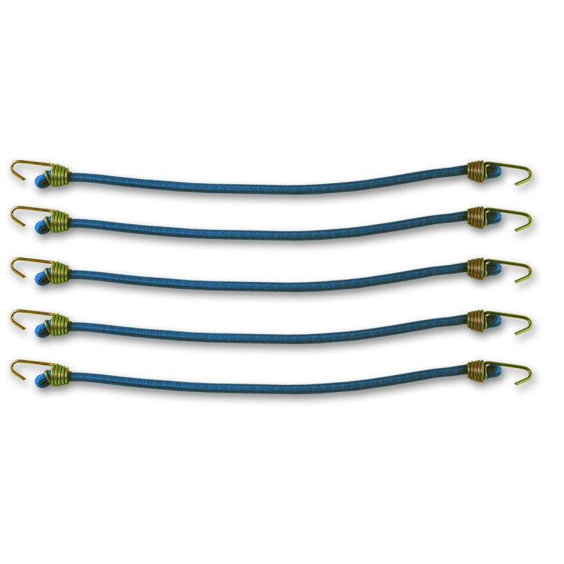 Mini-Sandow bleu Ø 4 mm 5 pièces CHAPUIS