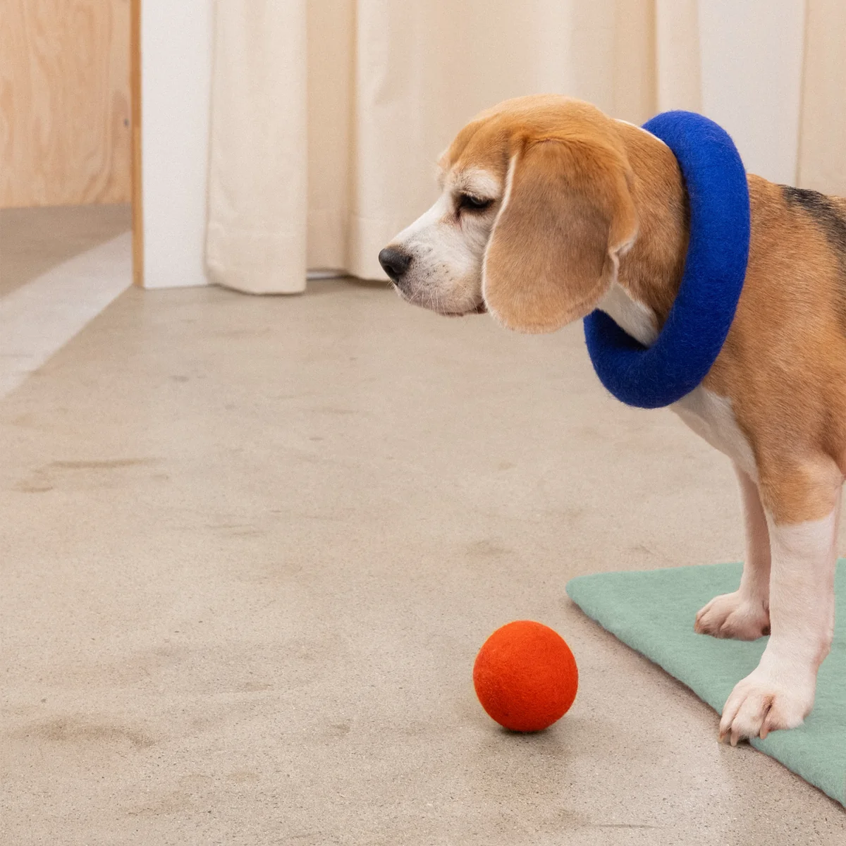 myfelt - Isa Hundespielzeug