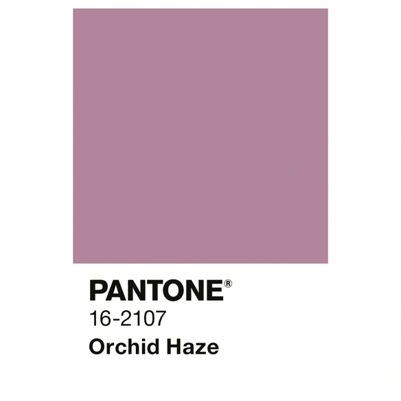 Wandfarbe »PANTONE«, Orchid Haze, matt, 2,5 l
