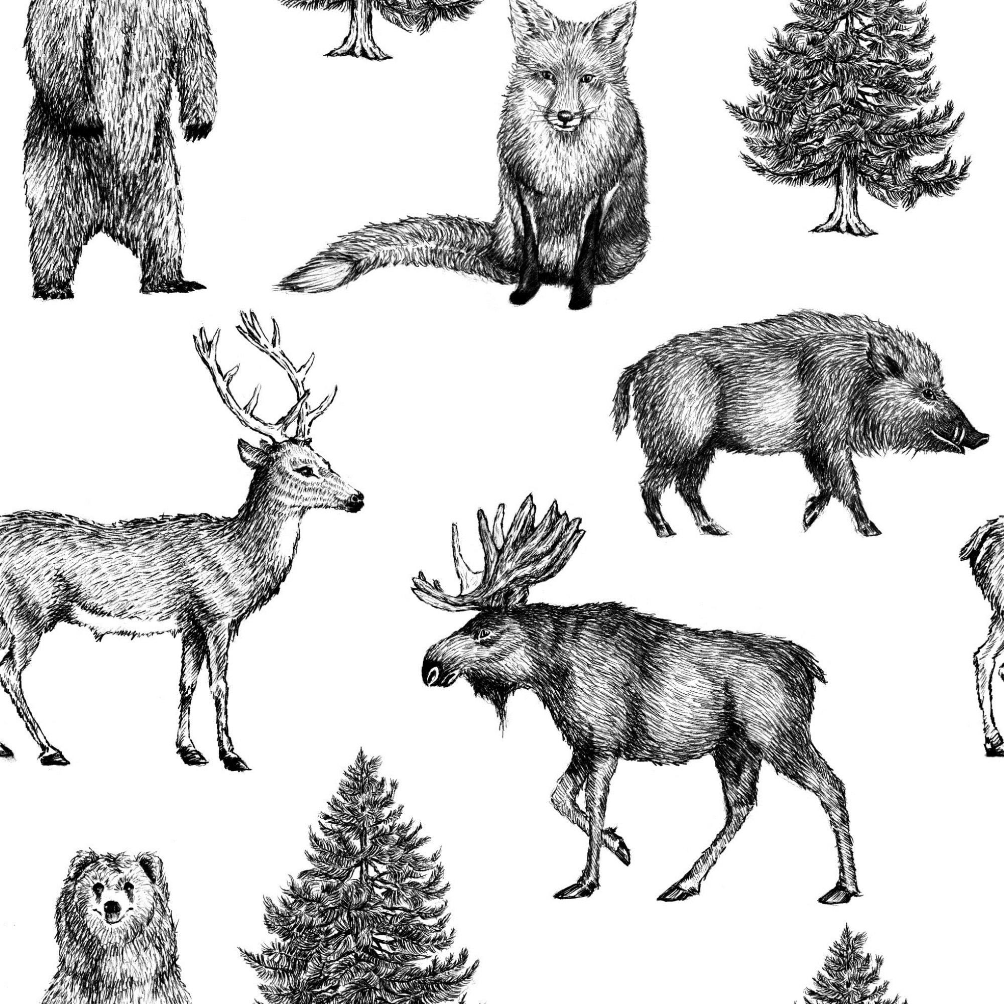 - Papier peint intissé animaux vinyle blanc noir 1005x52cm