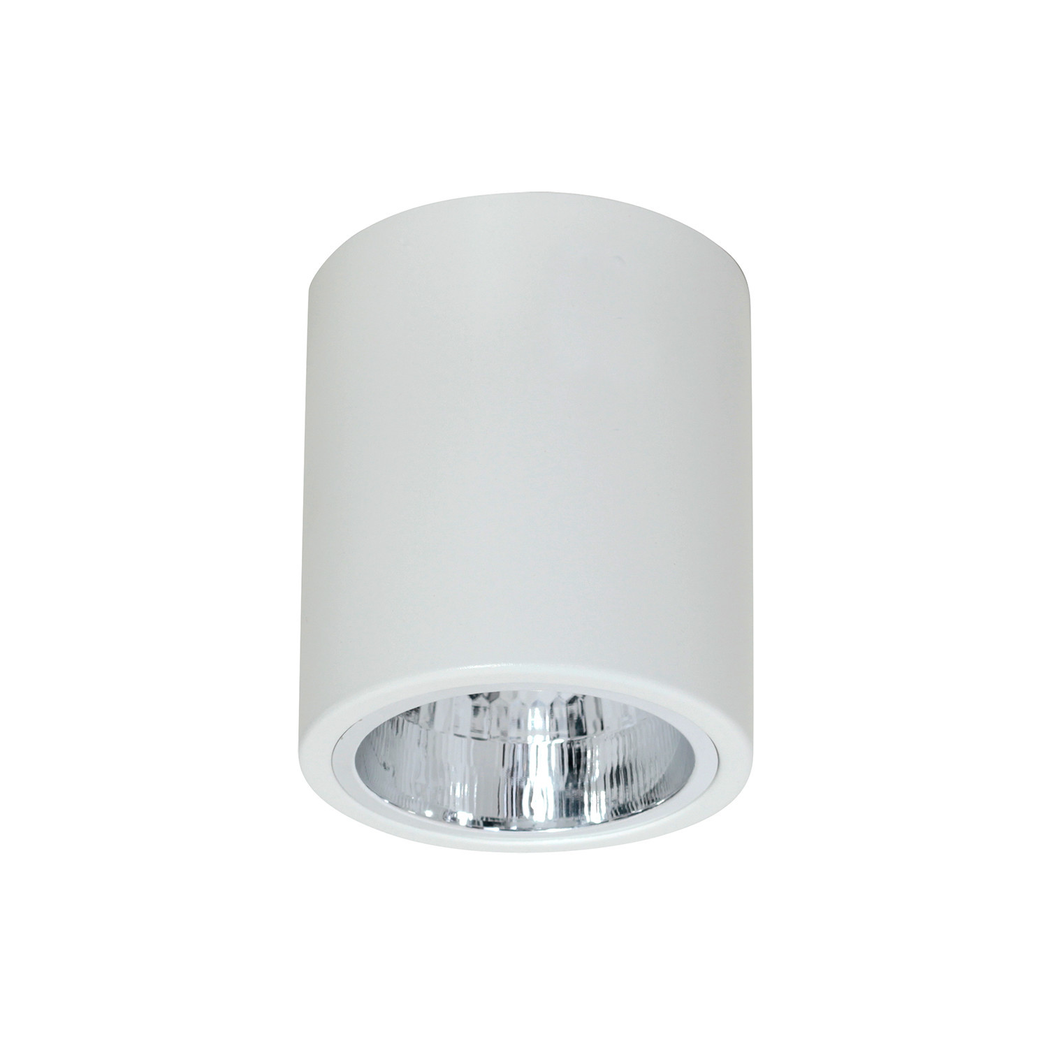 Lampa sufitowa biały mat Downlight round 1xE27x15W Luminex