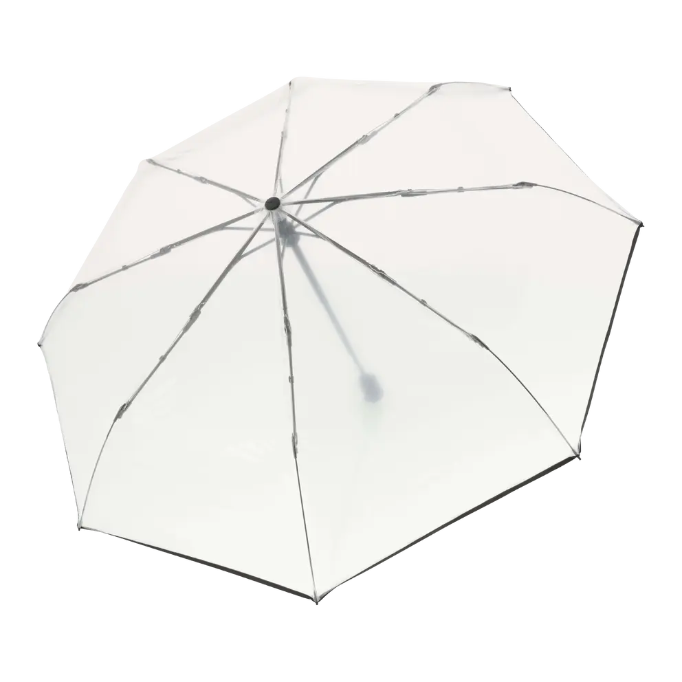 Regenschirm I_Duncan