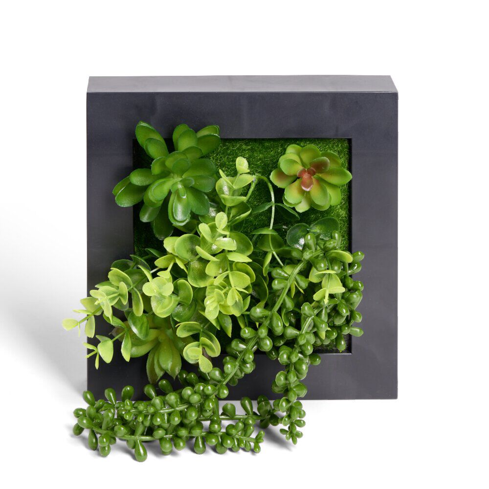 Plante artificielle décoration murale cadre bois noir 20x20cm