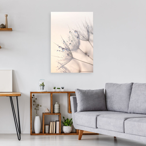 Obraz do salonu sypialni kuchni biura, Dmuchawce rośłiny kwiaty rosa 20x30