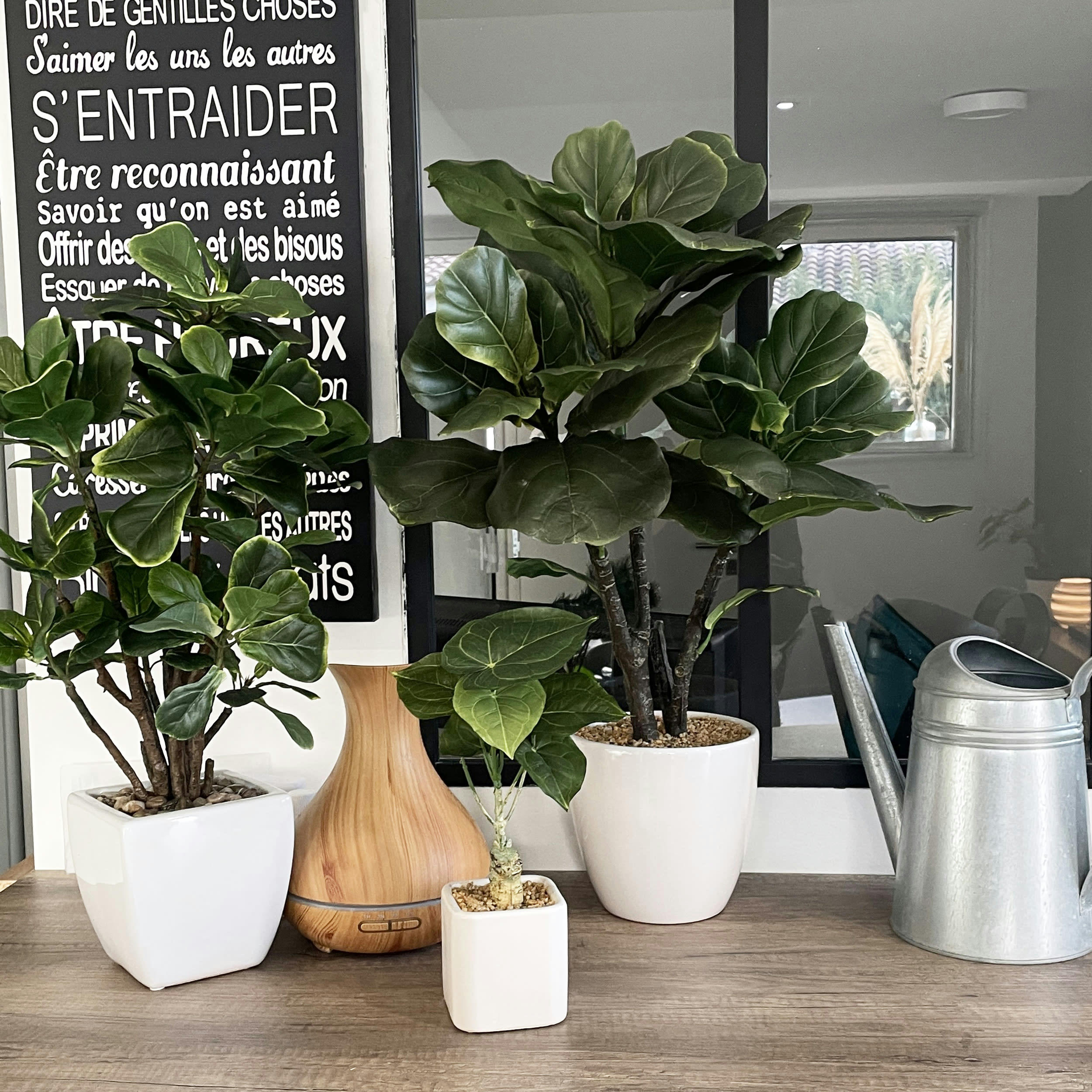 - Ficus artificiel lyrata 55cm