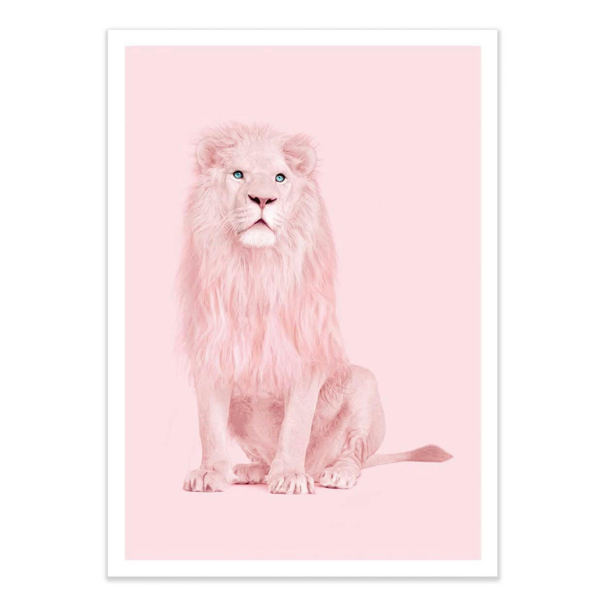PAUL FUENTES - PINK LION - Affiche d'art avec Cadre bois noir - 30 x 40 cm