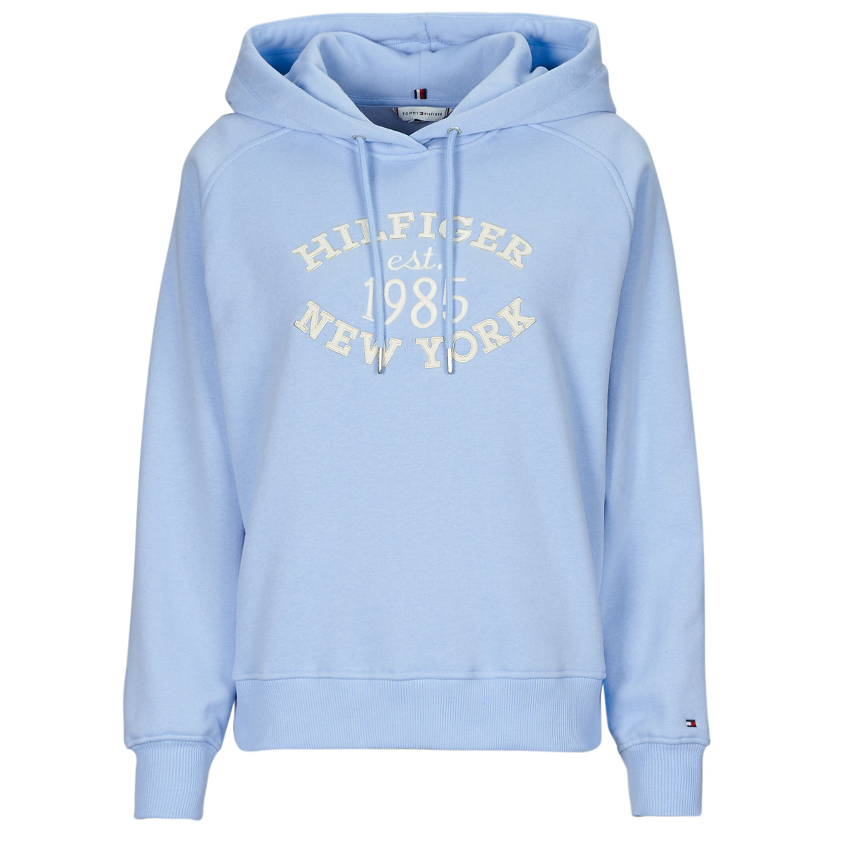 Tommy Hilfiger - MDRN REG SCRIPT SWEATSHIRT - Blue / Sky