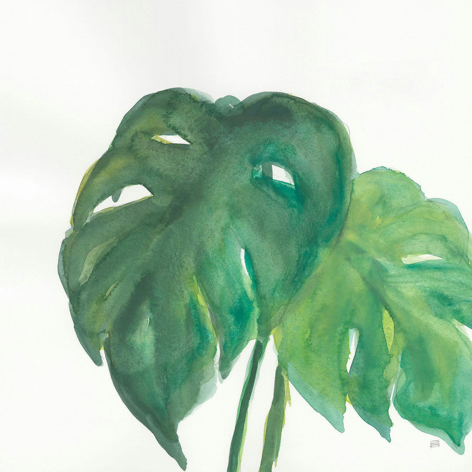- Tableau Plante monstera watercolor imprimé sur toile 30x30cm