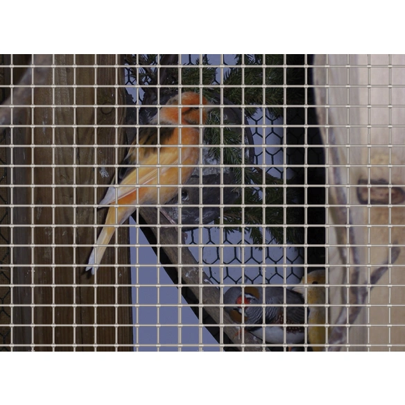 Drahtgitter, HxL: 50 x 500 cm, Stahl, silberfarben