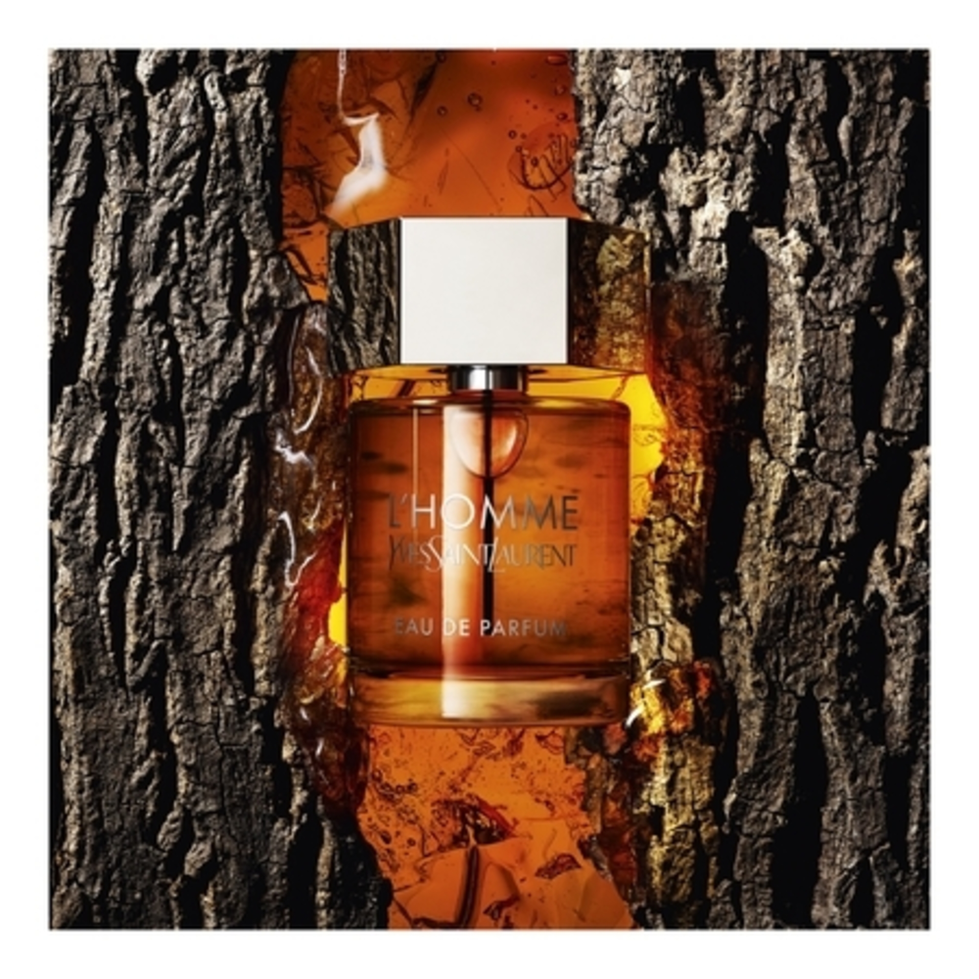 L'HommeEau de Parfum Vaporisateur