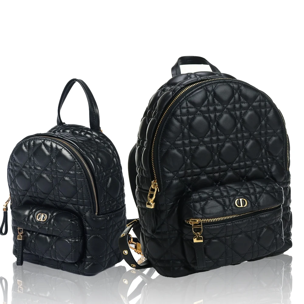 DIOR shoulder bag