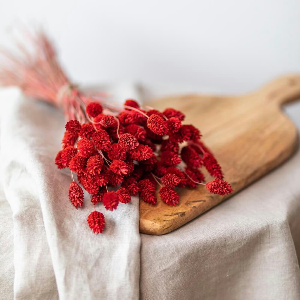 - Botte Phalaris rouge