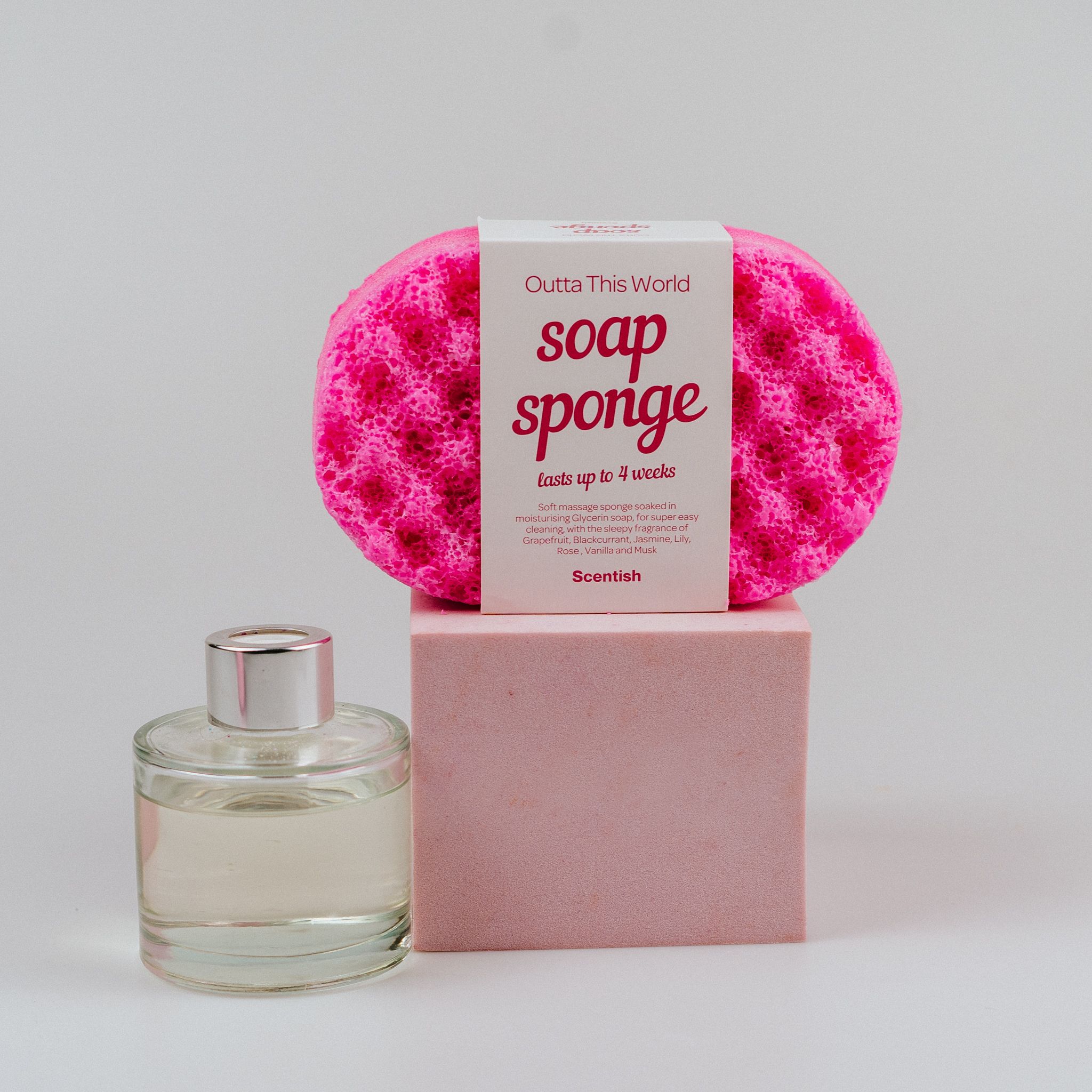Scentish Outta This World Soap Sponge