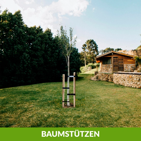 Zaunpfahl, 120 cm hoch, Ø 6-8 cm, Haselnussholz
