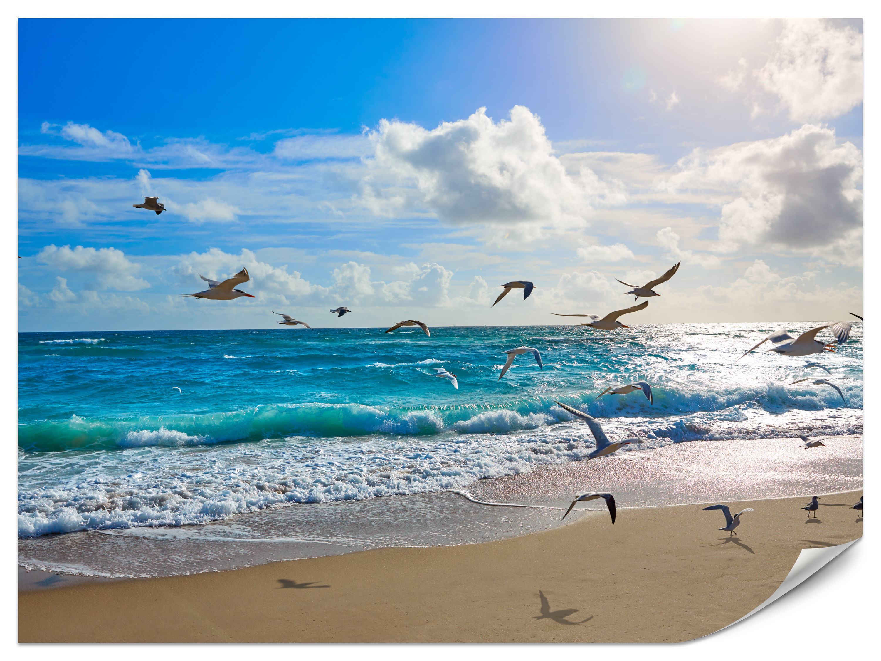 Fototapeta Słoneczna plaża 100x70cm