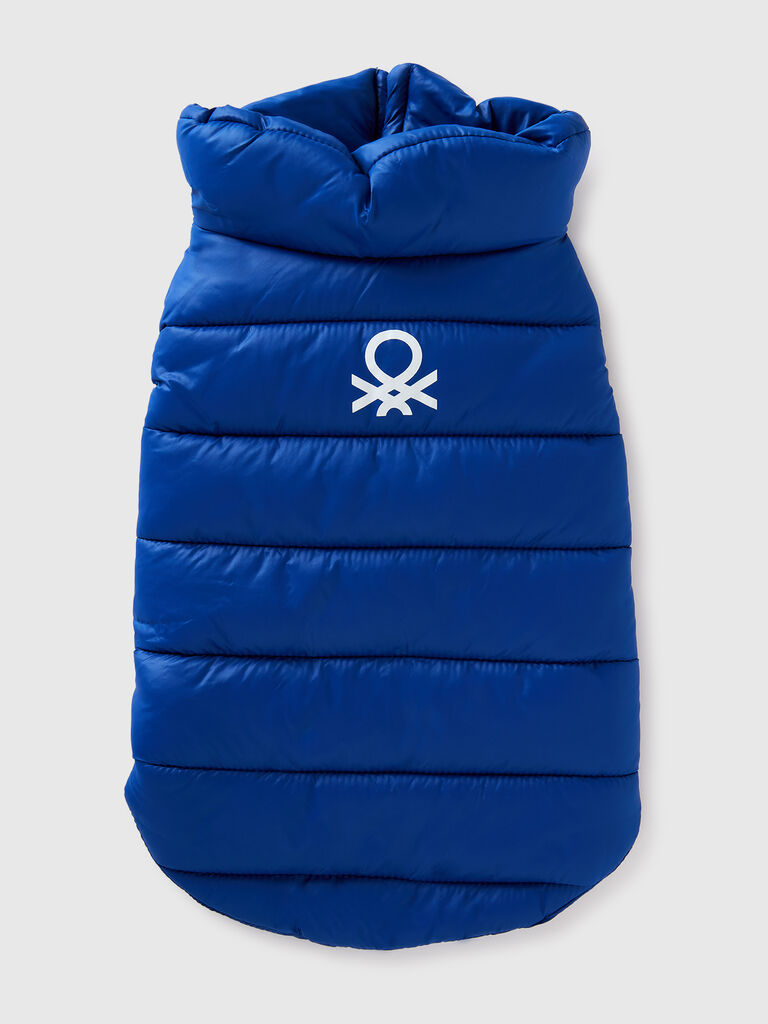 Cornflower blue padded jacket for dogs
