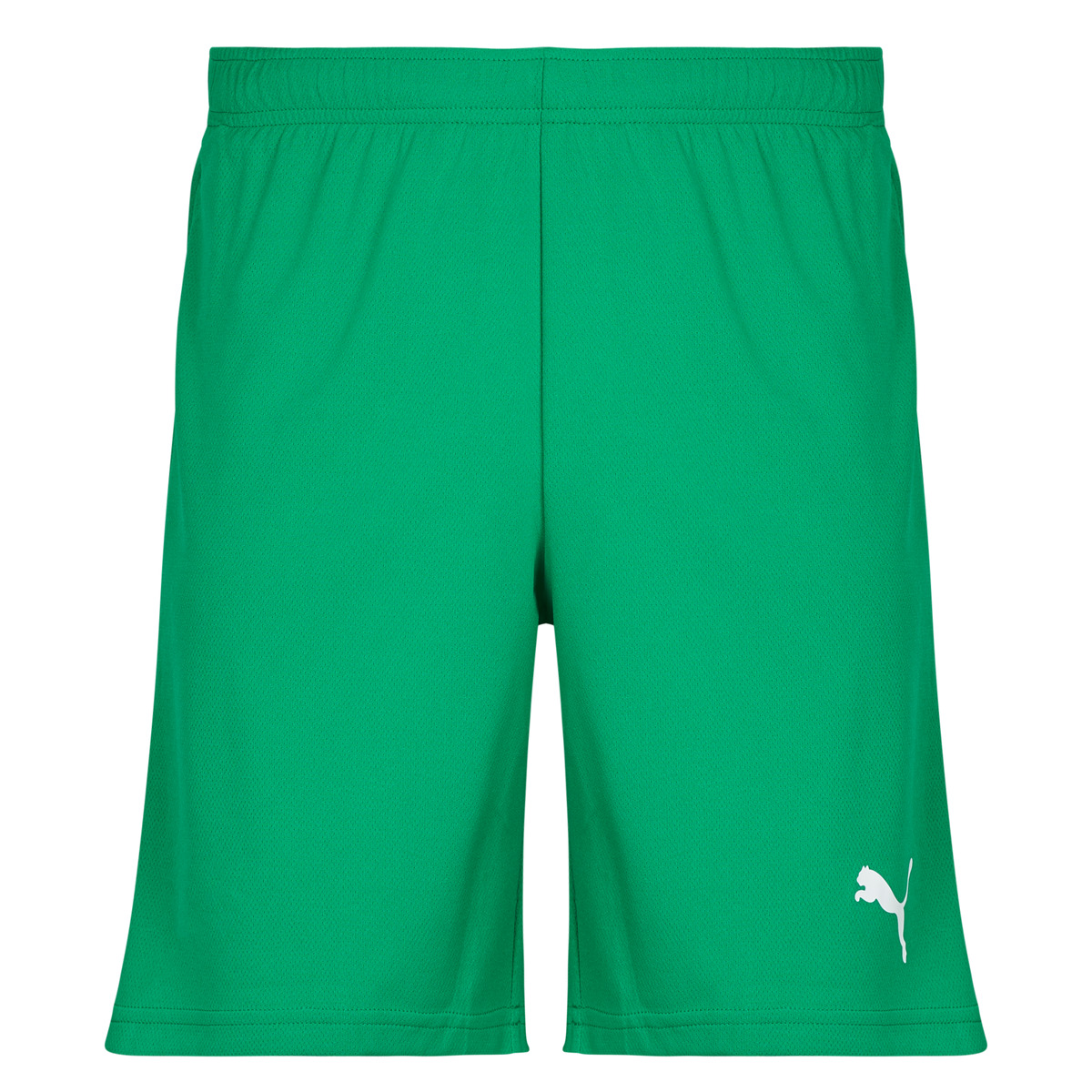 Puma - TEAMRISE MATCHDAY - Green
