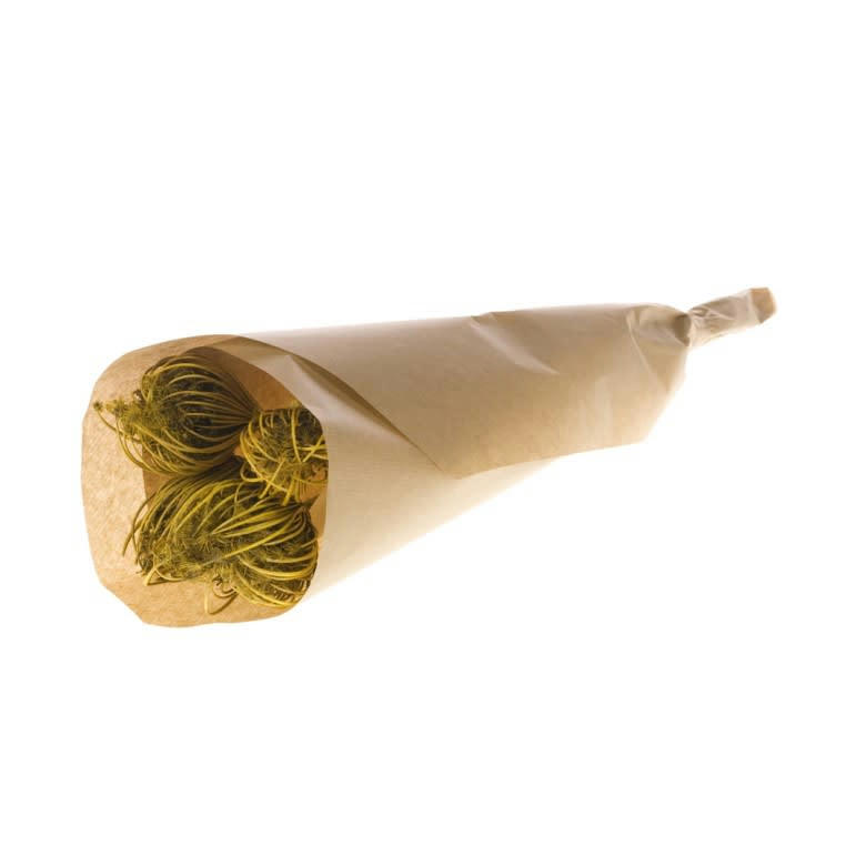 BFS - Botte Ammi Majus Yellow