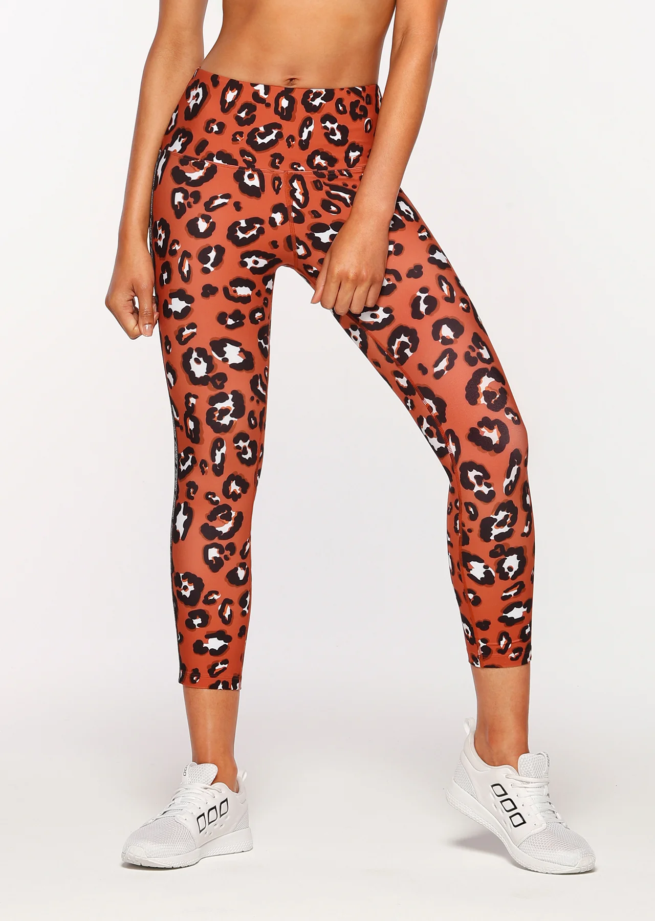 Wildcat A/B Tight