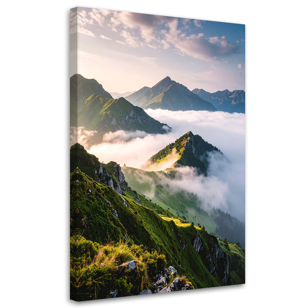 Obraz do salonu sypialni biura, Krajobraz widok góry we mgle 20x30