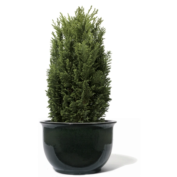 Pflanzgefäß »Ming«, leaf green, 1 Stück
