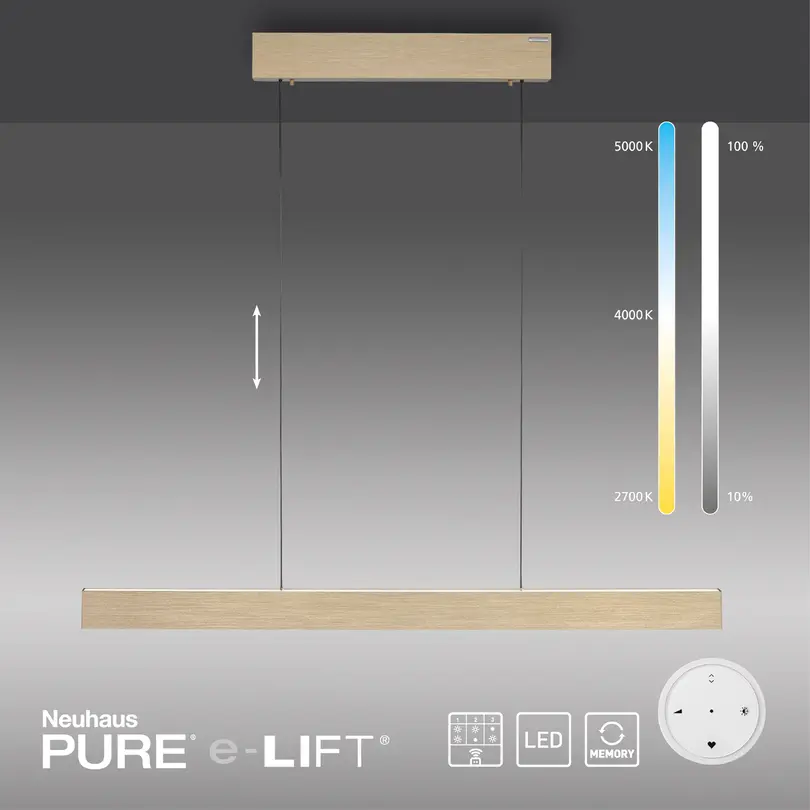 Hängeleuchte Pure E-Motion