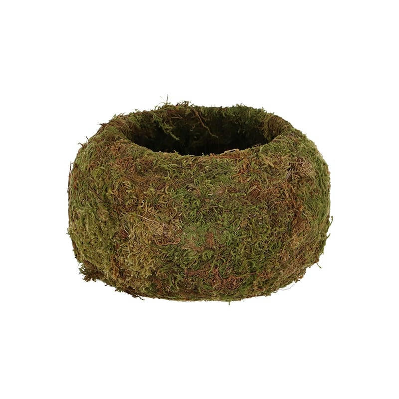 - Kokedama boule de mousse 15 cm