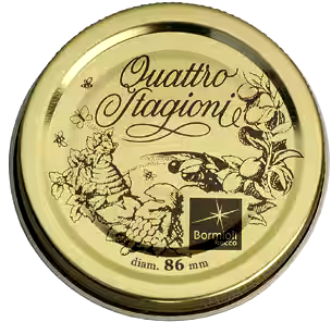 Quattro Stagioni 2pk Wide Mouth Replacement Sealing Lids for Mason Jars