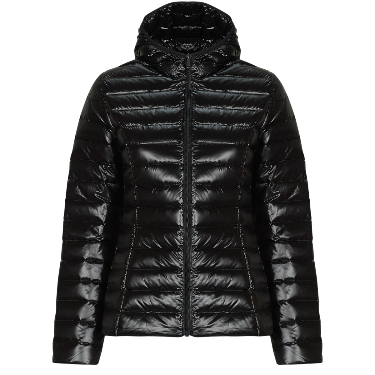JOTT - CLOE SHINY - Black