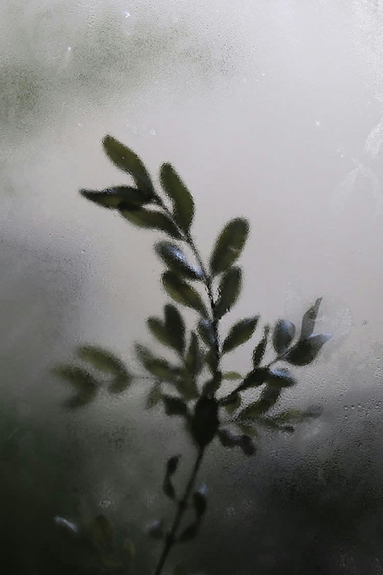 OMBRE - Photographie d'art de Zoé Pignolet 60x90 cm sur plexi