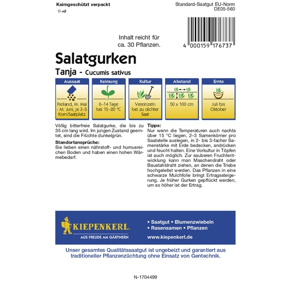 Salatgurke, Cucumis sativus, ca. 40 Pflanzen