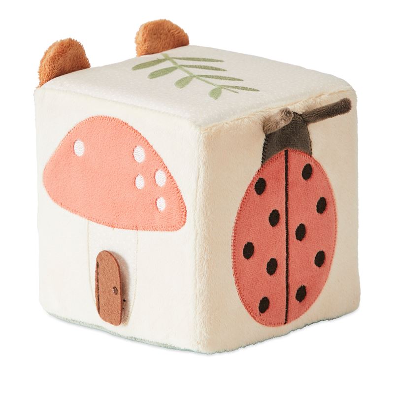 Woodlands Sensory Cube Play Time Baby Toy