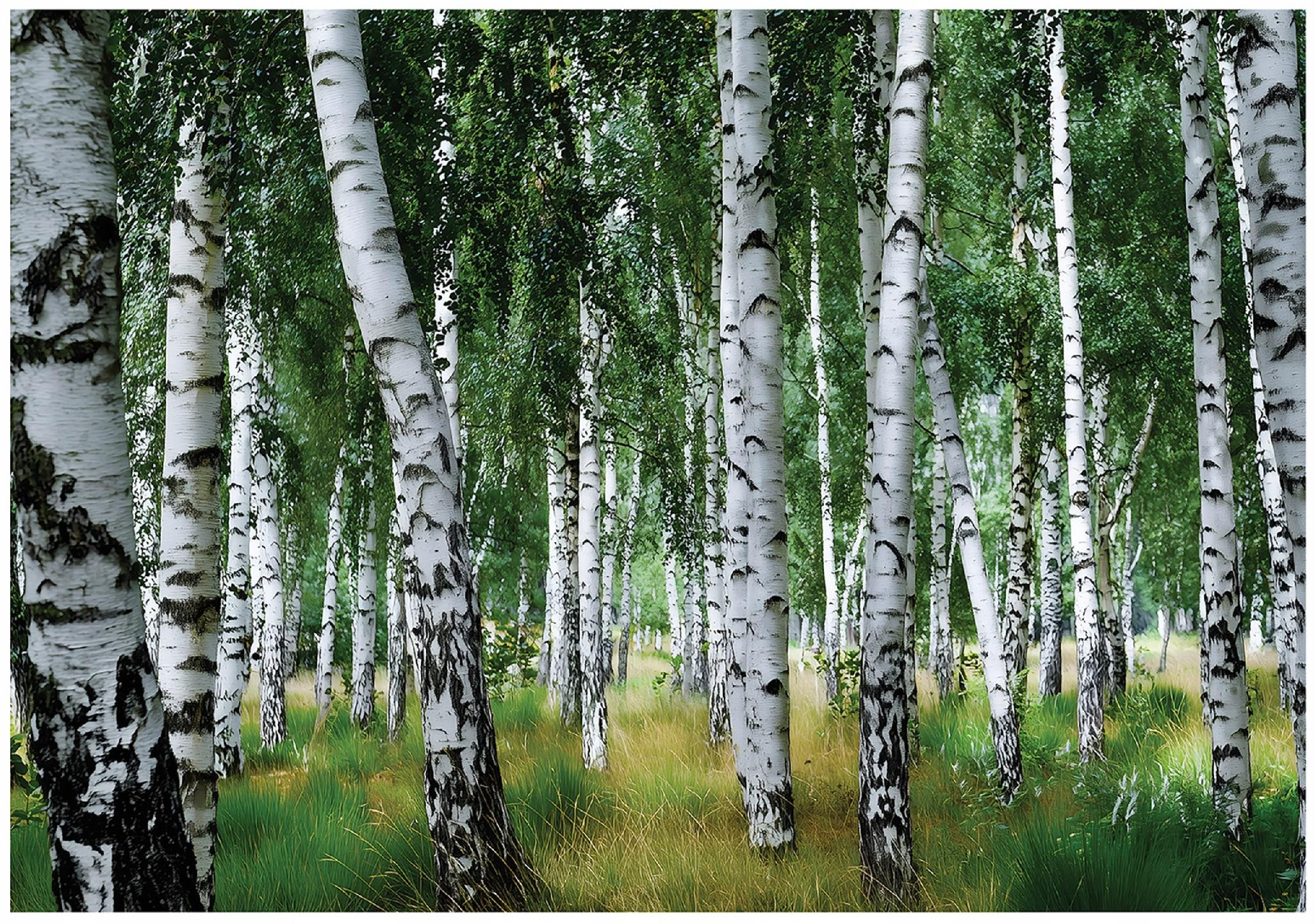 Fototapeta Las Zielony Na Flizelinie Do Sypialni Salonu 250x175