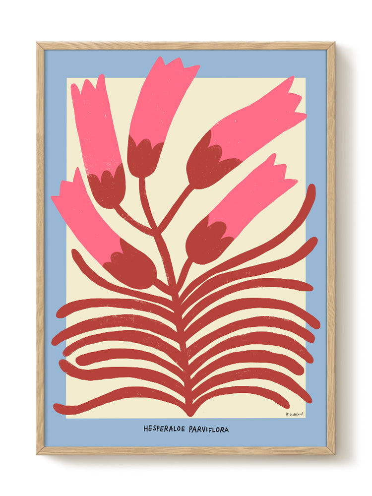Madelen - Hesperaloe Parviflora - PSTR studio Kunst Poster